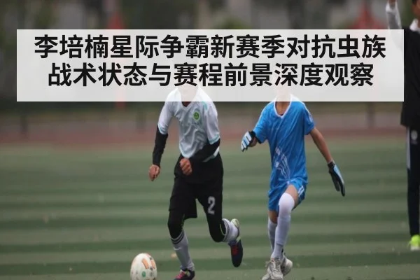 李培楠星际争霸新赛季对抗虫族战术状态与赛程前景深度观察